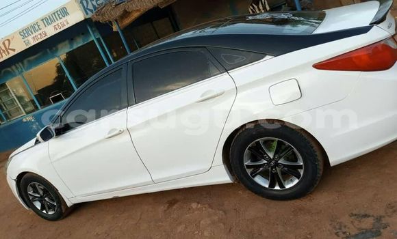Buy Used Hyundai Sonata White Car in Ouagadougou in Burkina Faso Buy Used Hyundai Sonata White Car in Ouagadougou in Burkina Faso