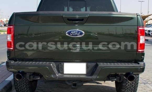 Sayi Na hannu Ford F–150 Green Mota in Aribinda a Soum Sayi Na hannu Ford F–150 Green Mota in Aribinda a Soum
