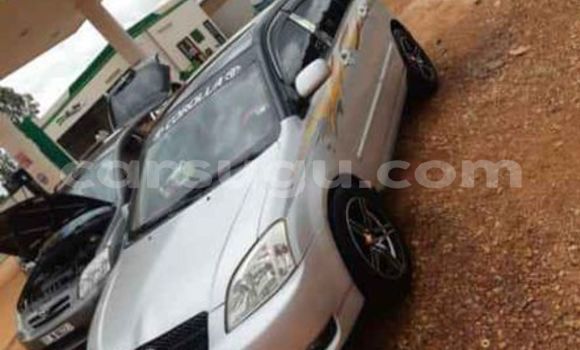 Acheter Occasion Voiture Toyota Corolla Gris à Aribinda, Soum Acheter Occasion Voiture Toyota Corolla Gris à Aribinda, Soum