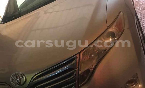 Acheter Occasion Voiture Toyota Venza Gris à Aribinda, Soum