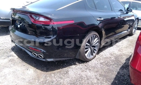 Buy Used Kia Stinger Other Car in Ouagadougou in Burkina Faso Buy Used Kia Stinger Other Car in Ouagadougou in Burkina Faso