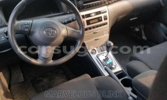 Acheter Occasion Voiture Toyota Hilux Blanc à Ouagadougou, Burkina-Faso Acheter Occasion Voiture Toyota Hilux Blanc à Ouagadougou, Burkina-Faso