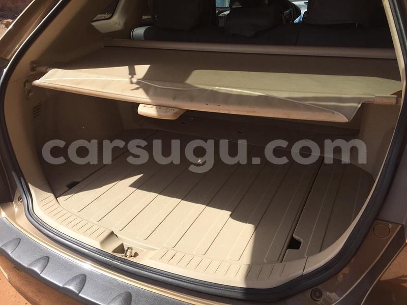 Big with watermark p1