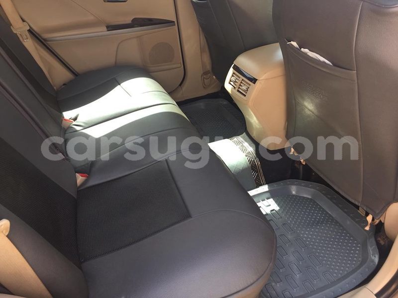 Big with watermark p3