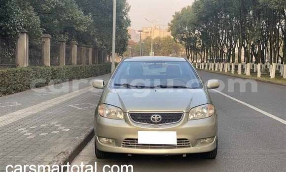 Buy Used Toyota Vios Silver Car in Ouagadougou in Burkina Faso Buy Used Toyota Vios Silver Car in Ouagadougou in Burkina Faso
