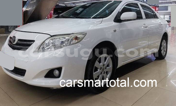 Acheter Occasion Voiture Toyota Corolla Blanc à Diebougou, Bougouriba