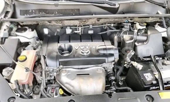 Buy Used Toyota RAV4 Other Car in Ouagadougou in Burkina Faso Buy Used Toyota RAV4 Other Car in Ouagadougou in Burkina Faso