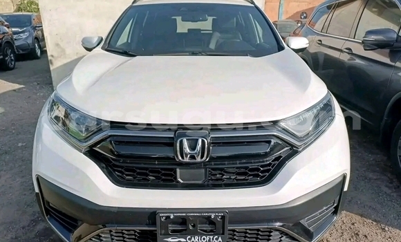 Acheter Occasion Voiture Honda CR–V Autre à Ouagadougou, Burkina-Faso Acheter Occasion Voiture Honda CR–V Autre à Ouagadougou, Burkina-Faso