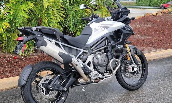 Acheter Occasion Moto Triumph Tiger Noir à Bobo Dioulasso, Burkina-Faso Acheter Occasion Moto Triumph Tiger Noir à Bobo Dioulasso, Burkina-Faso