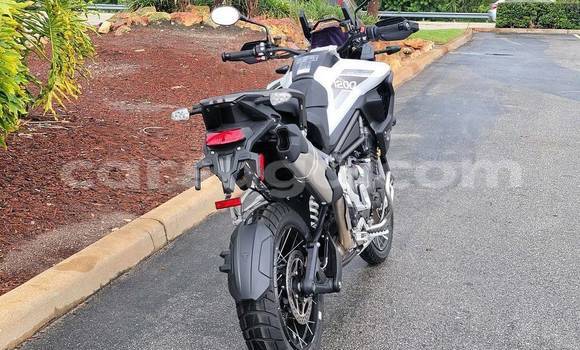 Acheter Occasion Moto Triumph Tiger Noir à Bobo Dioulasso, Burkina-Faso Acheter Occasion Moto Triumph Tiger Noir à Bobo Dioulasso, Burkina-Faso