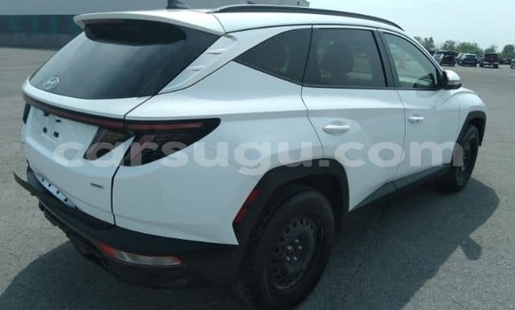 Acheter Occasion Voiture Hyundai Tucson Blanc à Ouagadougou, Burkina-Faso Acheter Occasion Voiture Hyundai Tucson Blanc à Ouagadougou, Burkina-Faso
