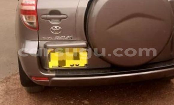 Buy Used Toyota RAV4 Silver Car in Ouagadougou in Burkina Faso Buy Used Toyota RAV4 Silver Car in Ouagadougou in Burkina Faso