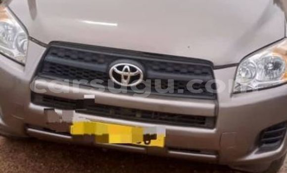 Buy Used Toyota RAV4 Silver Car in Ouagadougou in Burkina Faso Buy Used Toyota RAV4 Silver Car in Ouagadougou in Burkina Faso