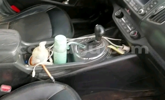 Acheter Occasion Voiture Kia Sportage Blanc à Ouagadougou, Burkina-Faso Acheter Occasion Voiture Kia Sportage Blanc à Ouagadougou, Burkina-Faso