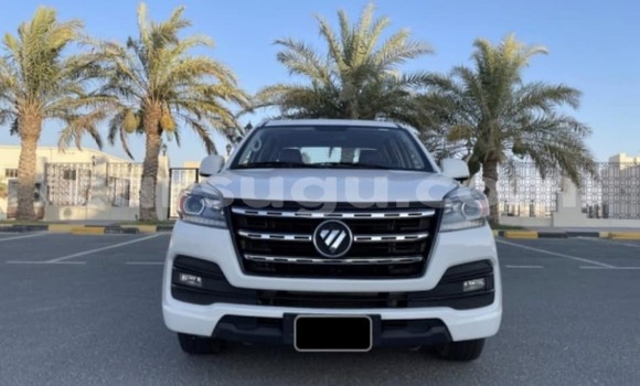 Sayi Na hannu Foton Tunland White Mota in Ouagadougou a Burkina Faso