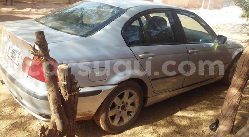 Big with watermark 24959109 1372679829509431 2290911251372580814 o