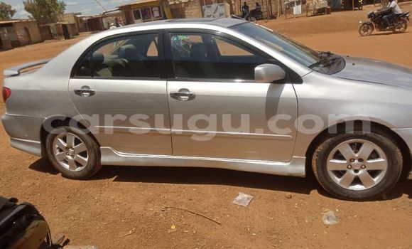 Acheter Occasion Voiture Toyota Corolla Autre à Ouagadougou, Burkina-Faso Acheter Occasion Voiture Toyota Corolla Autre à Ouagadougou, Burkina-Faso