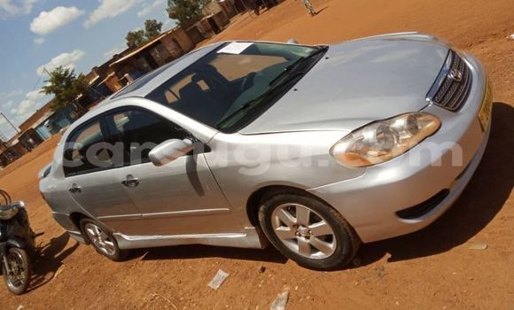 Acheter Occasion Voiture Toyota Corolla Autre à Ouagadougou, Burkina-Faso Acheter Occasion Voiture Toyota Corolla Autre à Ouagadougou, Burkina-Faso