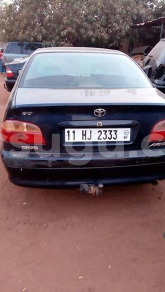 Big with watermark 24959109 1372679829509431 2290911251372580814 o