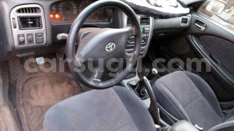 Big with watermark 25152125 1436706493124386 3988117729400250843 n