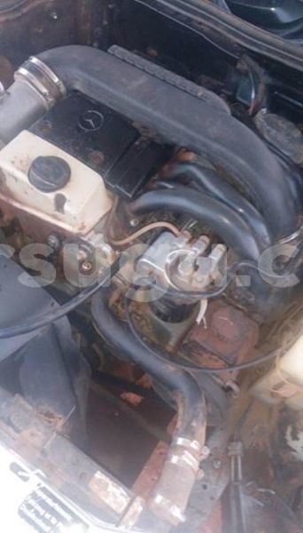 Big with watermark 25075045 1436706473124388 2663118157098388861 o