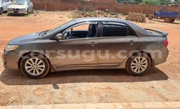Buy Used Toyota Corolla Spacio Other Car in Ouagadougou in Burkina Faso