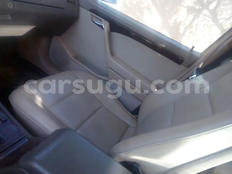 Big with watermark 25152125 1436706493124386 3988117729400250843 n