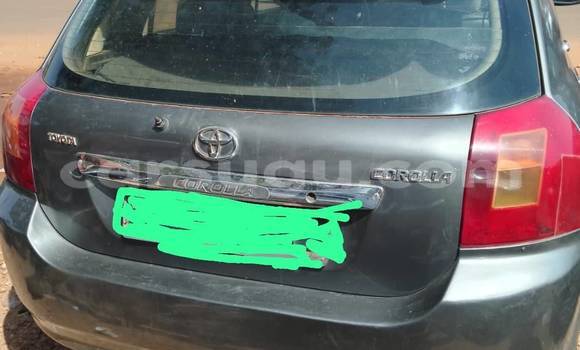 Buy Used Toyota Corolla Other Car in Ouagadougou in Burkina Faso Buy Used Toyota Corolla Other Car in Ouagadougou in Burkina Faso