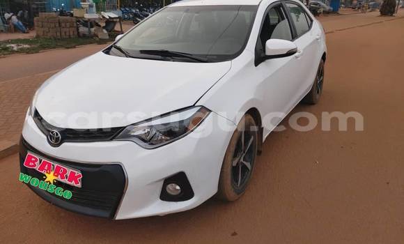 Buy Used Toyota Corolla White Car in Ouagadougou in Burkina Faso Buy Used Toyota Corolla White Car in Ouagadougou in Burkina Faso