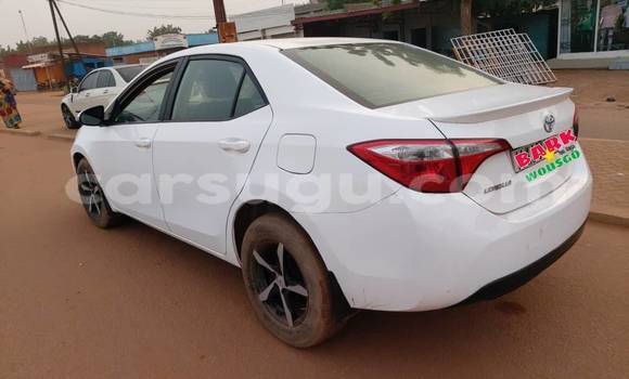 Buy Used Toyota Corolla White Car in Ouagadougou in Burkina Faso Buy Used Toyota Corolla White Car in Ouagadougou in Burkina Faso