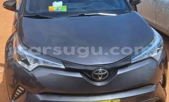 Buy Used Toyota C-HR Other Car in Bousse in Kourweogo Buy Used Toyota C-HR Other Car in Bousse in Kourweogo