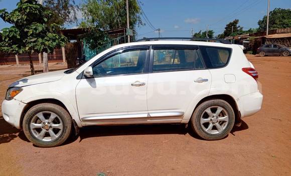 Buy Used Toyota RAV4 White Car in Boromo in Bale Buy Used Toyota RAV4 White Car in Boromo in Bale