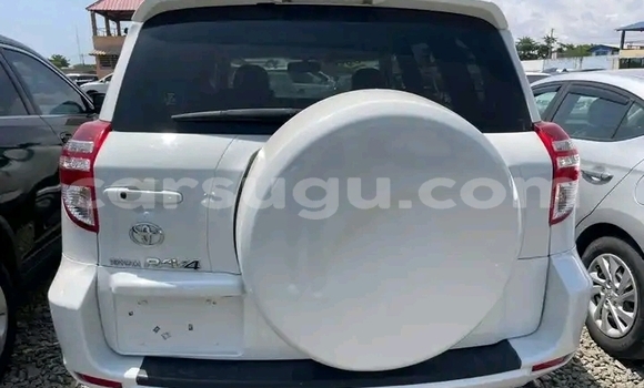 Buy Used Toyota RAV4 White Car in Ouagadougou in Burkina Faso Buy Used Toyota RAV4 White Car in Ouagadougou in Burkina Faso