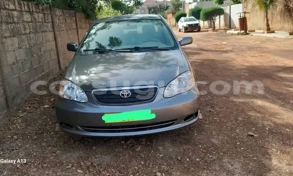 Acheter Occasion Voiture Toyota Corolla Autre à Ouagadougou, Burkina-Faso Acheter Occasion Voiture Toyota Corolla Autre à Ouagadougou, Burkina-Faso