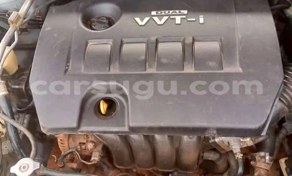 Sayi Na hannu Coggiola T Rex Sauran Mota in Ouagadougou a Burkina Faso Sayi Na hannu Coggiola T Rex Sauran Mota in Ouagadougou a Burkina Faso