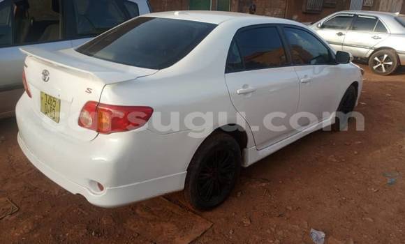Acheter Occasion Voiture Toyota Corolla Blanc à Ouagadougou, Burkina-Faso Acheter Occasion Voiture Toyota Corolla Blanc à Ouagadougou, Burkina-Faso