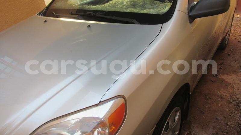 Big with watermark 5