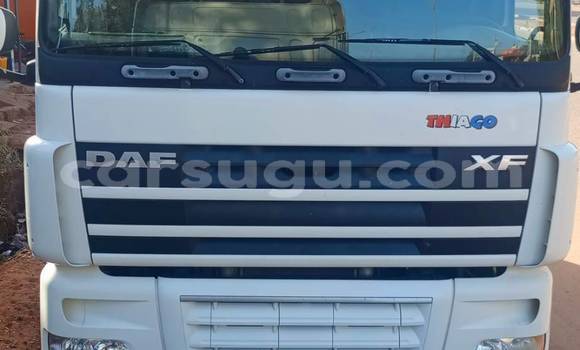 Acheter Occasion Utilitaire DAF CF Blanc à Batie, Noumbiel