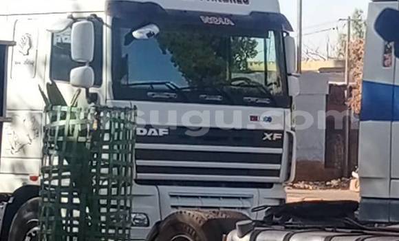 Acheter Occasion Utilitaire DAF CF Blanc à Batie, Noumbiel Acheter Occasion Utilitaire DAF CF Blanc à Batie, Noumbiel