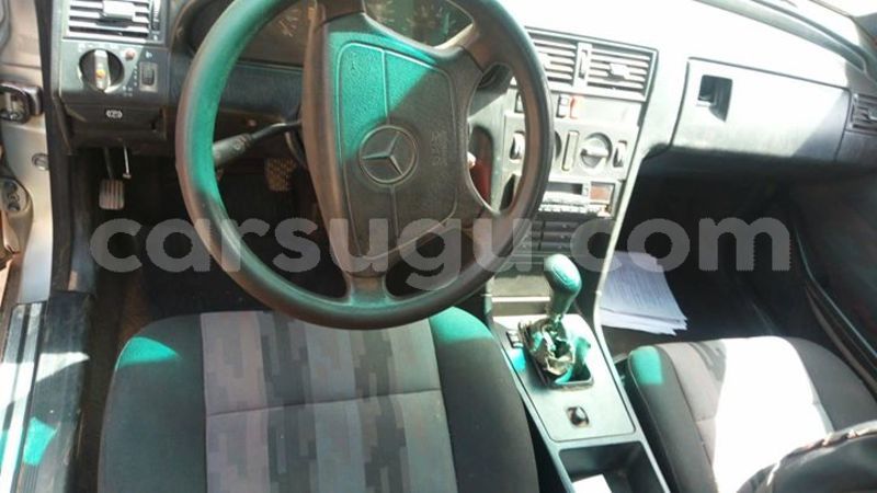 Big with watermark 25152125 1436706493124386 3988117729400250843 n