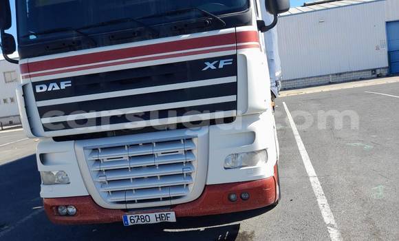 Acheter Occasion Utilitaire DAF CF Blanc à Bogande, Gnagna Acheter Occasion Utilitaire DAF CF Blanc à Bogande, Gnagna
