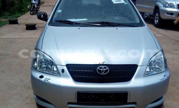 Acheter Occasion Voiture Toyota Corolla Gris à Bobo Dioulasso au Burkina-Faso Acheter Occasion Voiture Toyota Corolla Gris à Bobo Dioulasso au Burkina-Faso