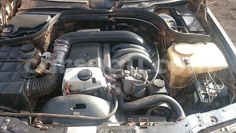 Big with watermark 9