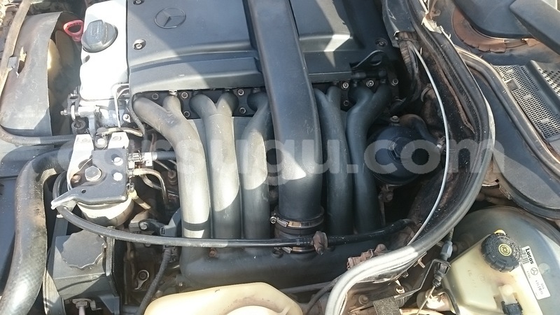 Big with watermark 10