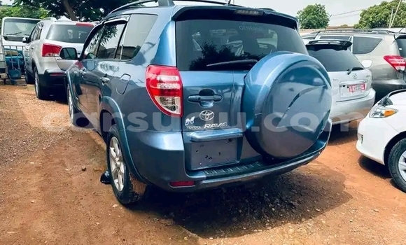 Buy Used Toyota RAV4 Blue Car in Ouagadougou in Burkina Faso Buy Used Toyota RAV4 Blue Car in Ouagadougou in Burkina Faso