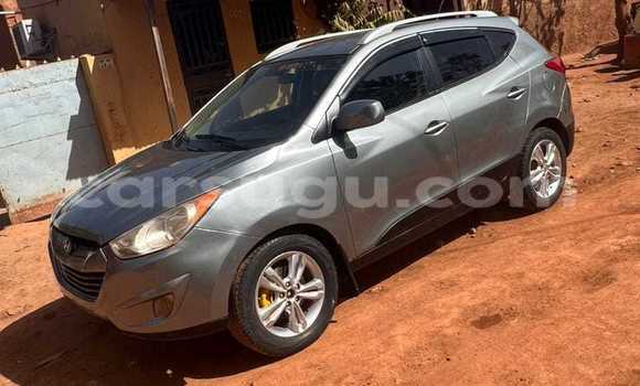 Buy Used Hyundai Tucson Other Car in Ouagadougou in Burkina Faso Buy Used Hyundai Tucson Other Car in Ouagadougou in Burkina Faso