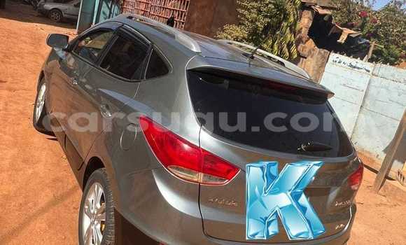 Buy Used Hyundai Tucson Other Car in Ouagadougou in Burkina Faso Buy Used Hyundai Tucson Other Car in Ouagadougou in Burkina Faso