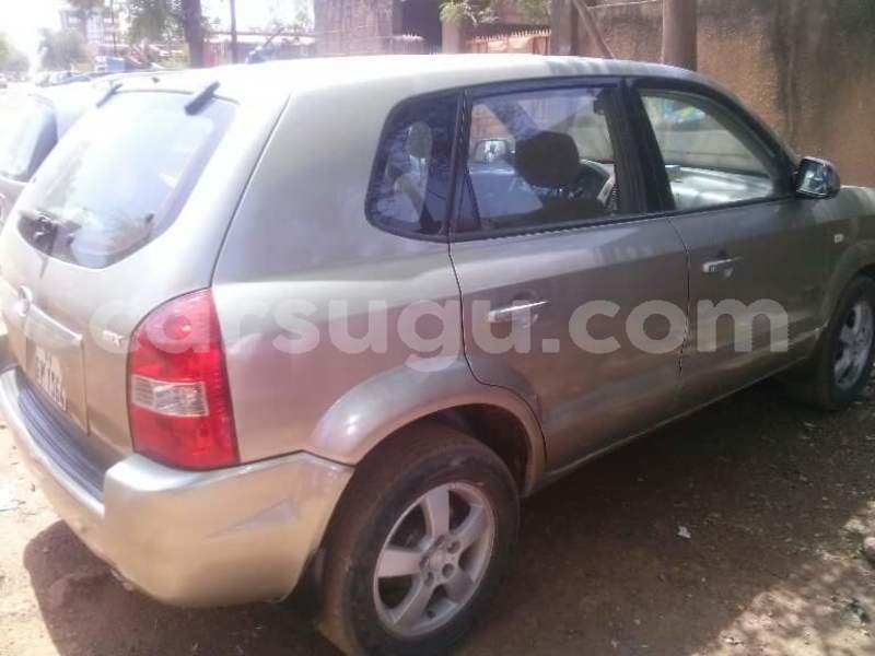 Big with watermark 30831313 1917842488261136 926156940 n