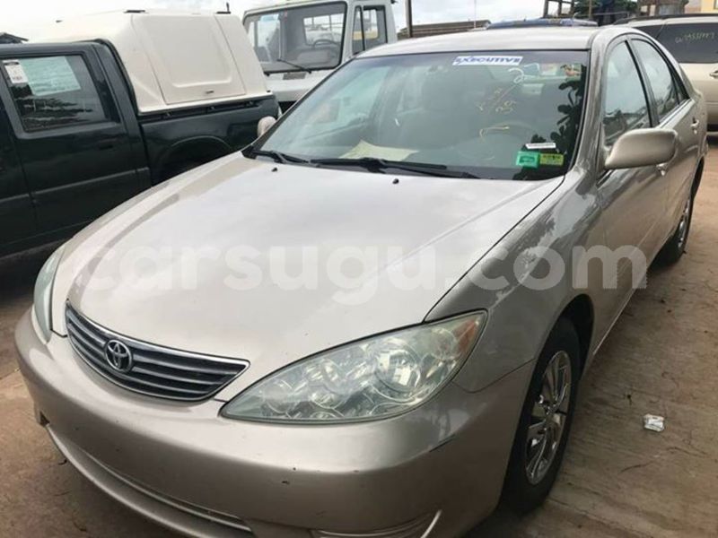 Big with watermark 30623955 578122035882356 6857030771144654848 n