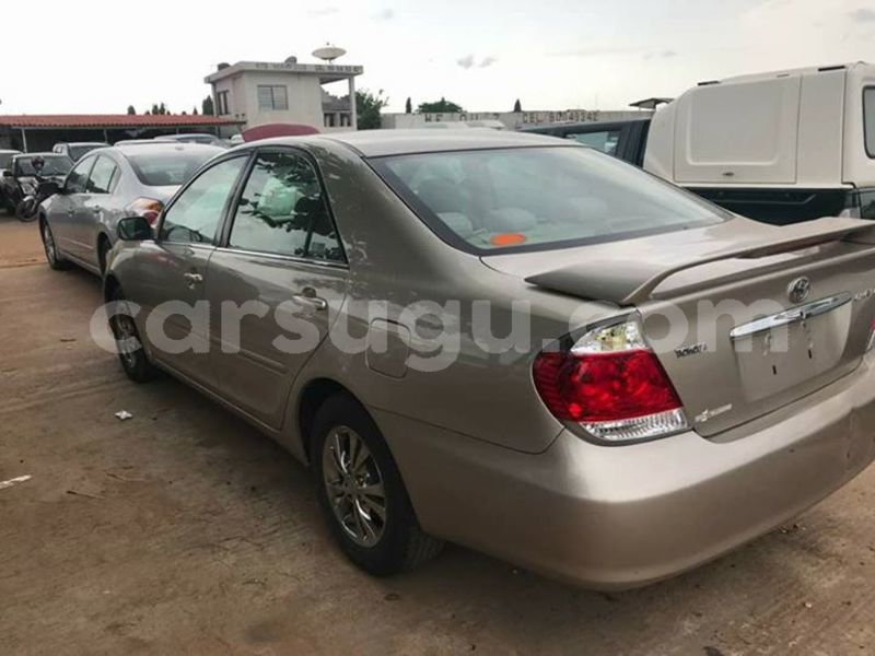 Big with watermark 30629329 194112211393369 244064733525704704 n